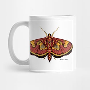 Distinguished Colomychus moth Mug